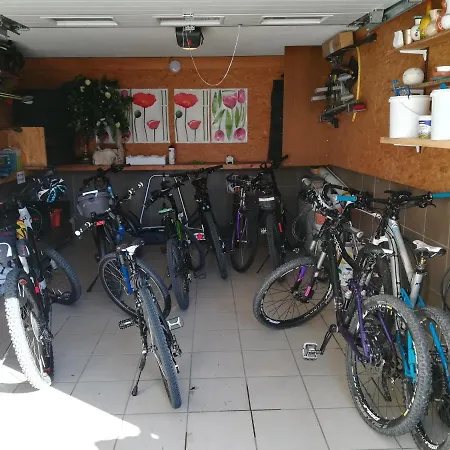 Alpenblick Daire Söll